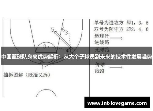 中国篮球队身高优势解析：从大个子球员到未来的技术性发展趋势