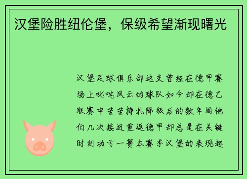 汉堡险胜纽伦堡,保级希望渐现曙光