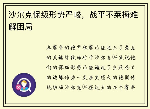 沙尔克保级形势严峻,战平不莱梅难解困局